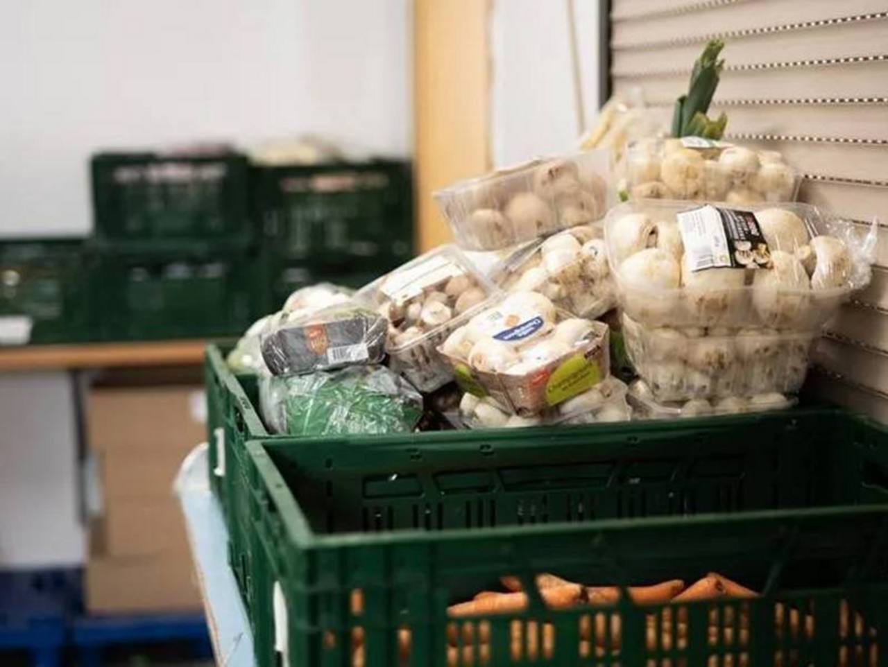 Grüne Kuststoffkisten mit folierten Champignon-Schälchen und weiteren Lebensmitteln - Lebensmittellagerung