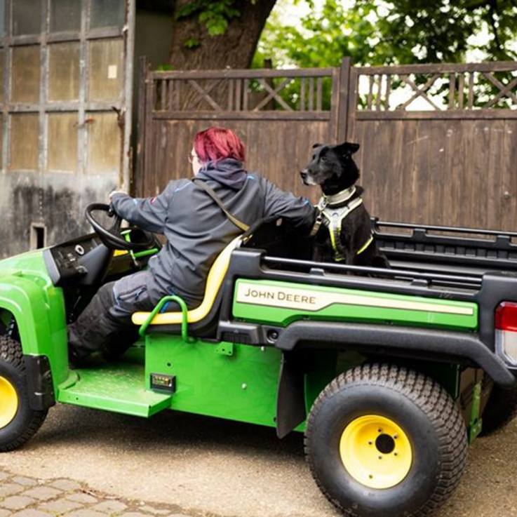 John Deere Gator mit Hund auf der Ladeflache